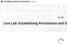 CertMaster PT0-003 Lab 9.1.16 failure to launch.PNG