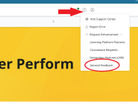 CertMaster Feedback.png